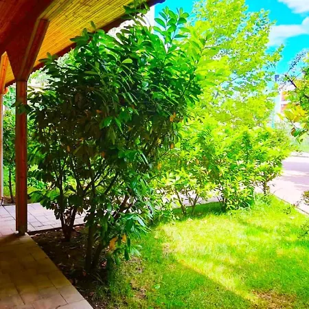 Casa Maya Mamaia Nord Pensiune